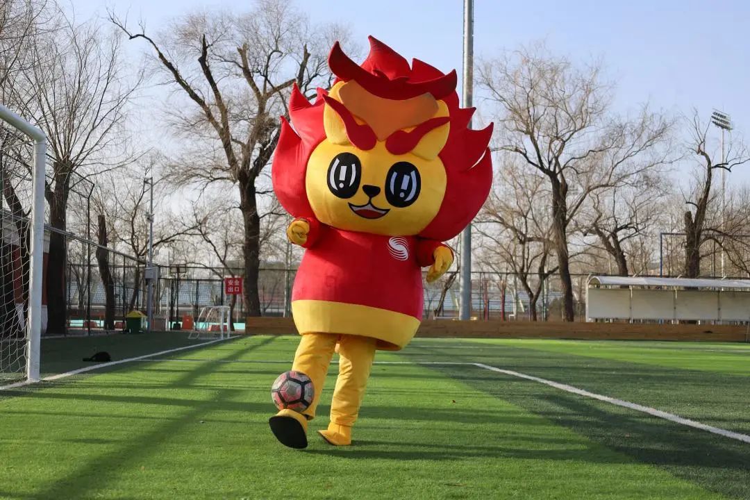bti体育·(中国)官方网站-BTI-SPORTS